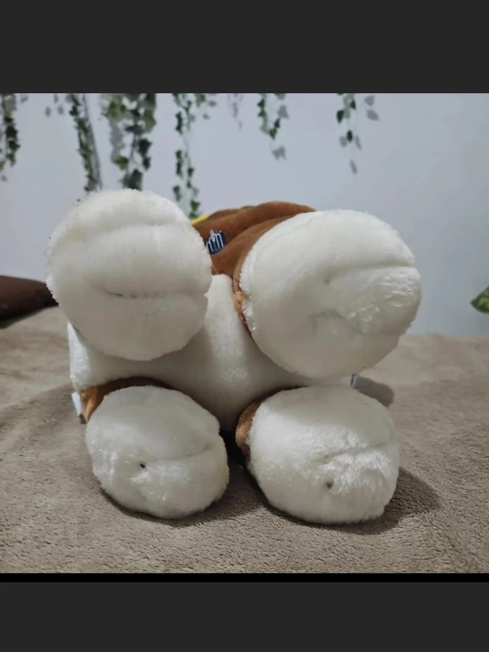 Sad Sam Plush Dog Toy - Brown and White Plush Puppy